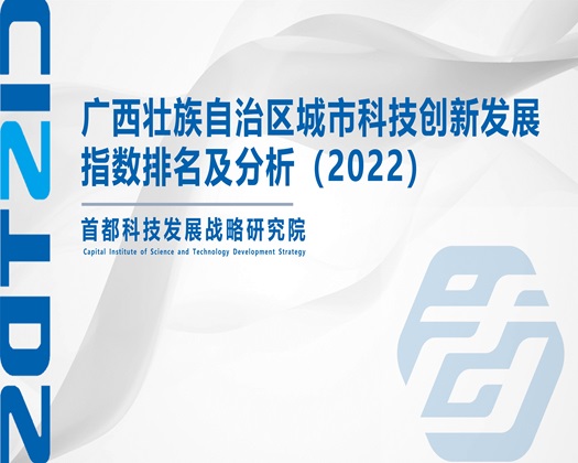 好多水骚货就是欠日小说【成果发布】广西壮族自治区城市科技创新发展指数排名及分析（2022）